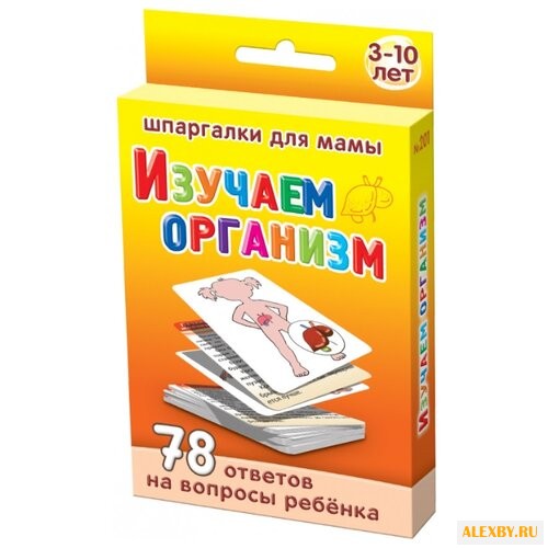 Набор карточек Лерман Шпаргалки