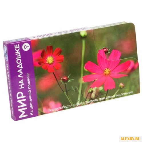 Набор карточек Умница Мир на