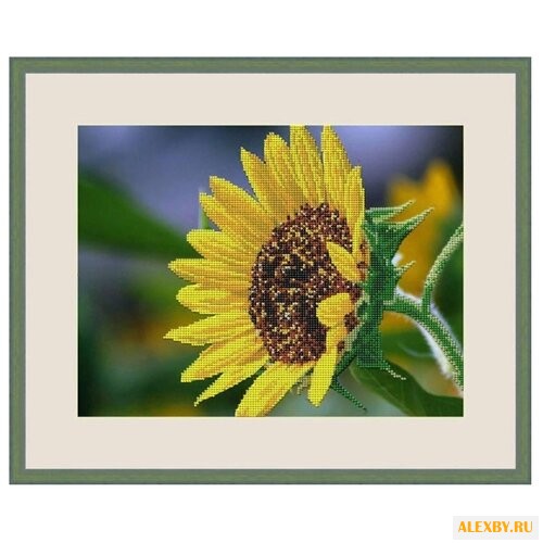 Galla Collection Набор для