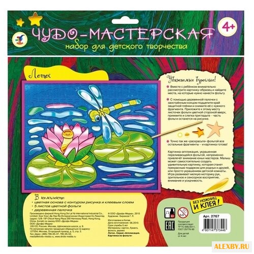 Дрофа-Медиа Аппликация из