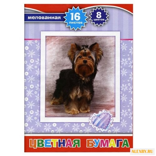 Цветная бумага Action! A4 16