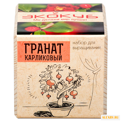 Набор для выращивания Эйфорд