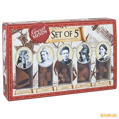 Набор головоломок Professor