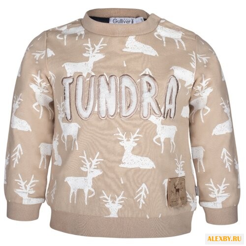 Свитшот Gulliver Baby