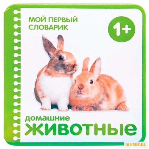 Краснушкина Е. Е. Мой первый