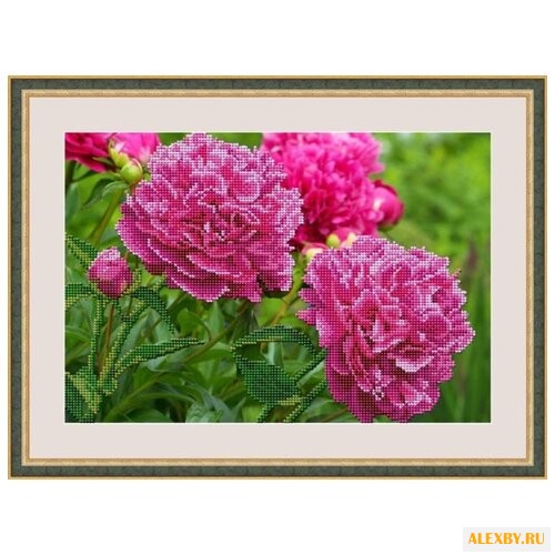 Galla Collection Набор для