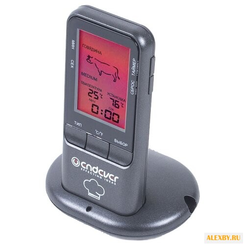 Термометр ENDEVER электронный