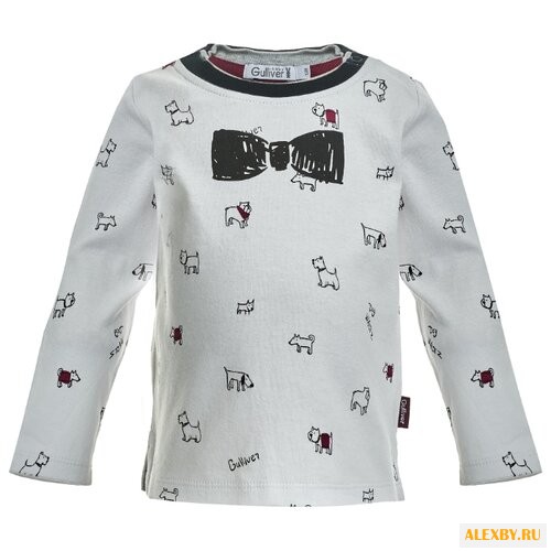 Лонгслив Gulliver Baby