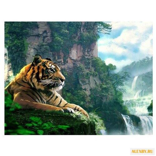 Color Kit Картина по номерам У