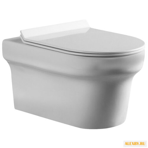 Унитаз Aquanet Nova BL-101N-WHT