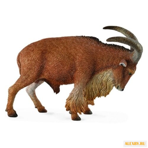 Collecta Овца Барбари 88683