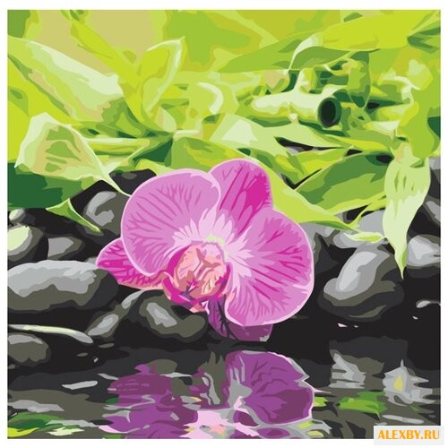 Color Kit Картина по номерам