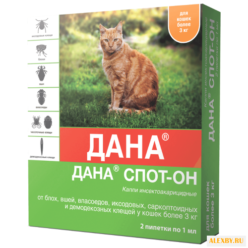 Api-San Дана Спот-Он для кошек