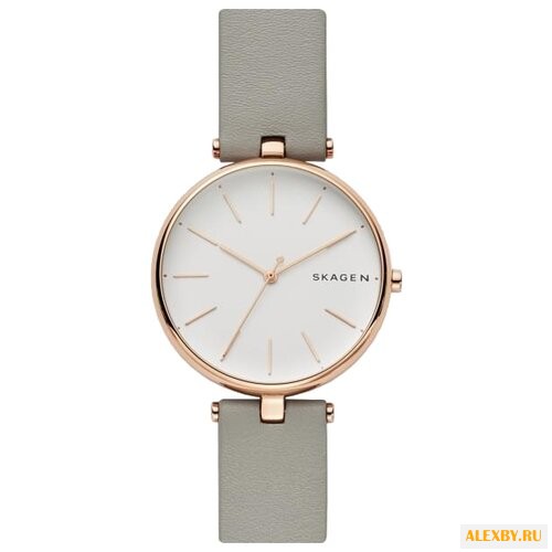 Наручные часы SKAGEN SKW2710