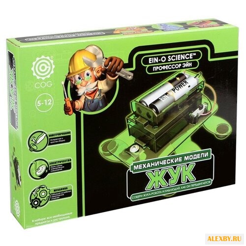 Набор Профессор Эйн Жук