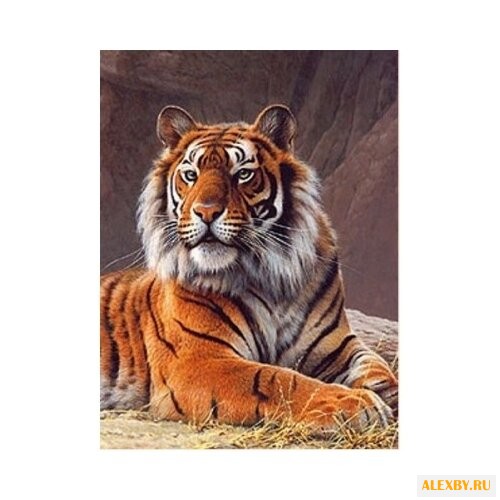 Алмазная живопись Набор