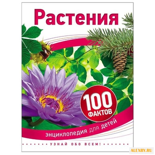 Бедуайер К. 100 фактов. Растения