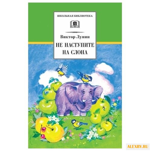 Лунин В. В. Не наступите на слона