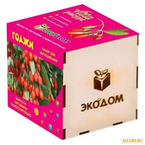 Набор Эко Клуб Vita Ресурс Годжи