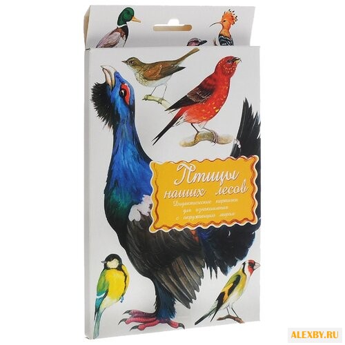 Набор карточек Маленький гений