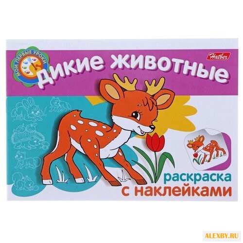 Hatber Раскраска с наклейками.