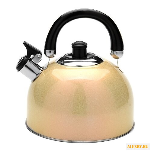 MAYER & BOCH Чайник 23595 27 л