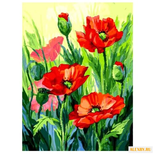 Белоснежка Картина по номерам