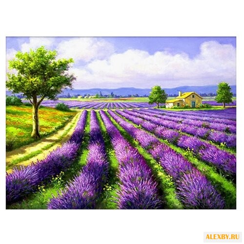 Алмазная живопись Набор