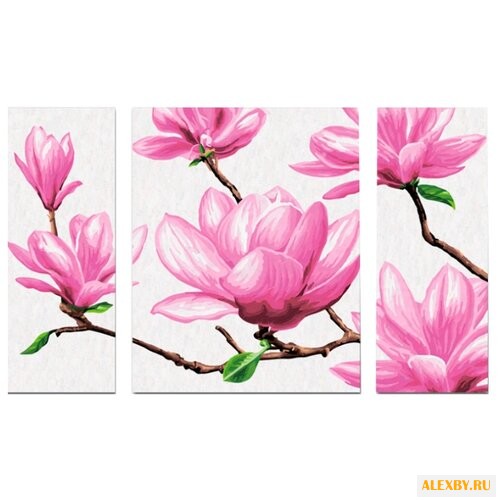 Schipper Картина по номерам