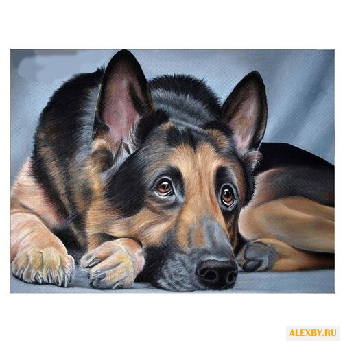 Алмазная живопись Набор