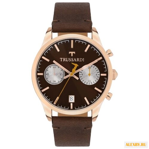 Наручные часы TRUSSARDI