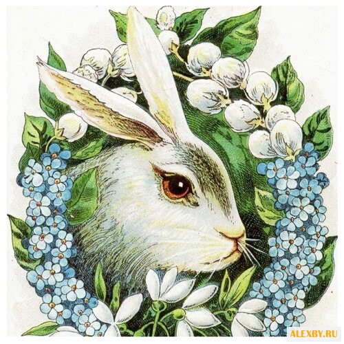 Color Kit Открытка по номерам