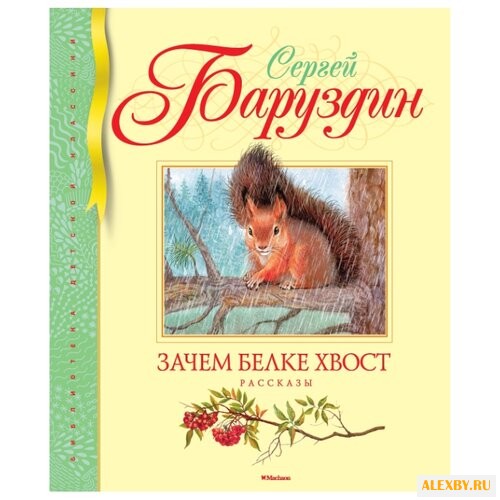 Баруздин С. Библиотека детской