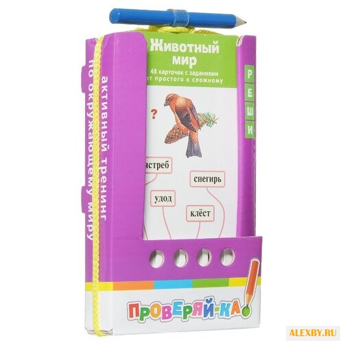 Набор карточек Айрис-Пресс