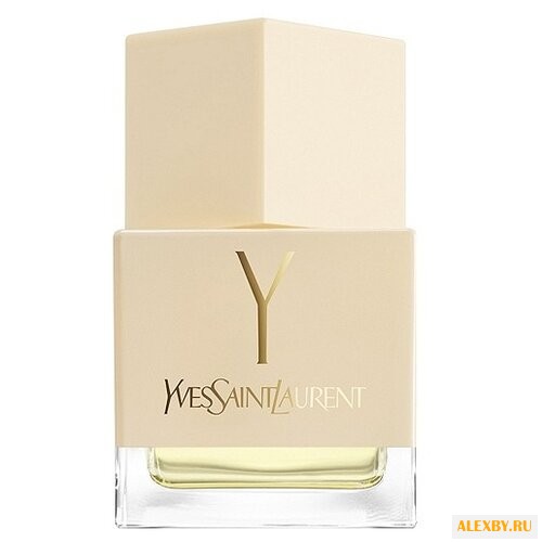 Yves Saint Laurent Y pour Femme