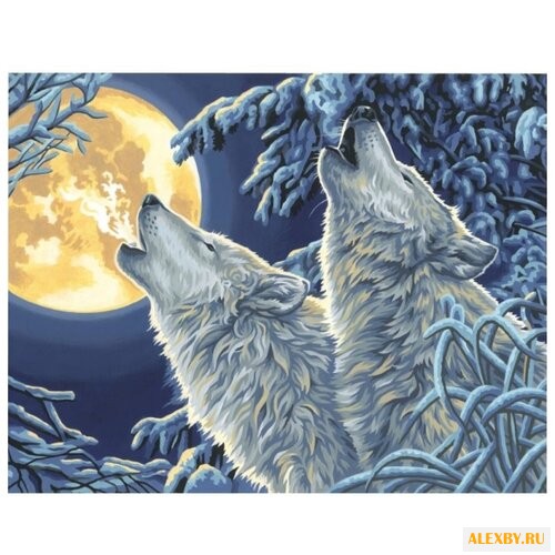 Dimensions Картина по номерам