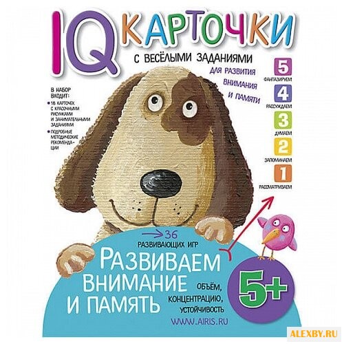 Набор карточек Айрис-Пресс