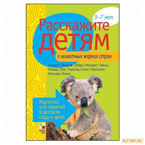 Набор карточек Мозаика-Синтез