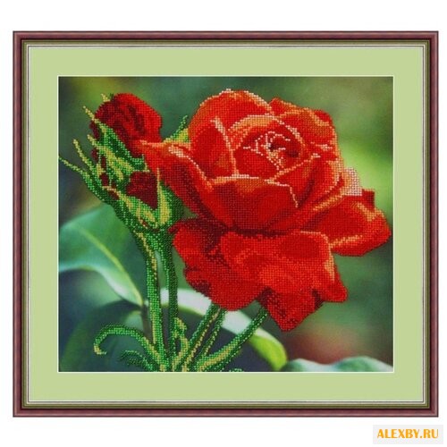 Galla Collection Набор для