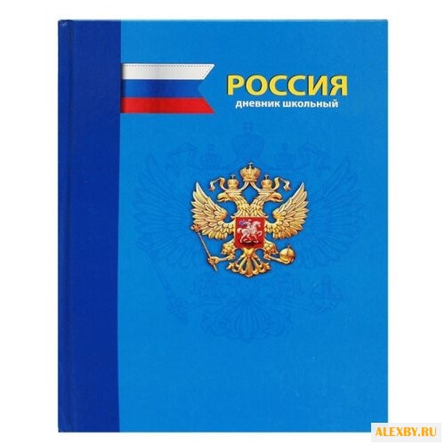 Проф-Пресс Дневник школьный