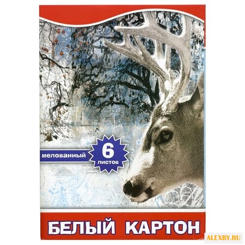 Белый картон Action! A4 6 л.