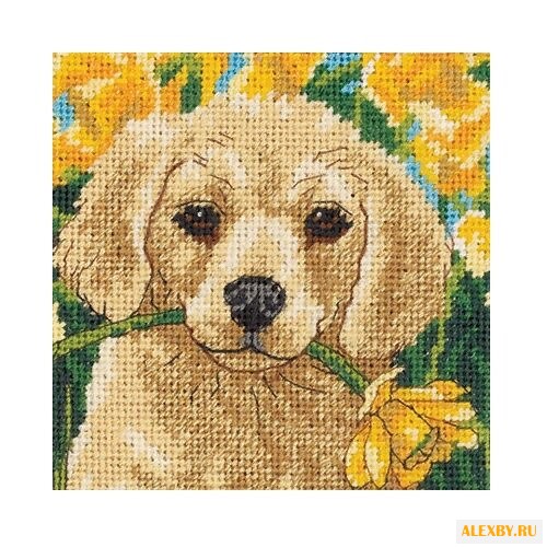 Dimensions Набор для вышивания