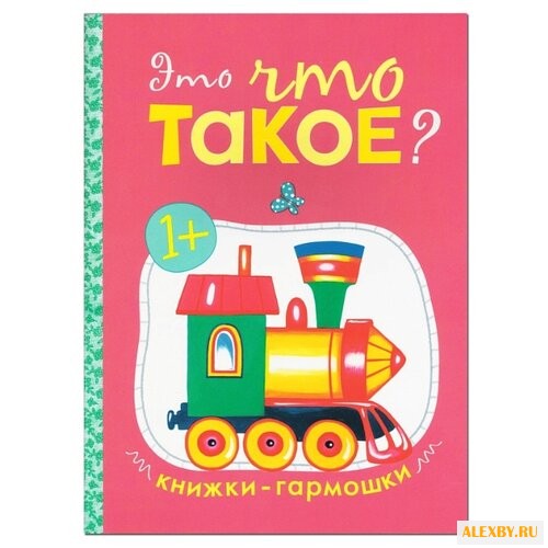 Дорофеева А. М.