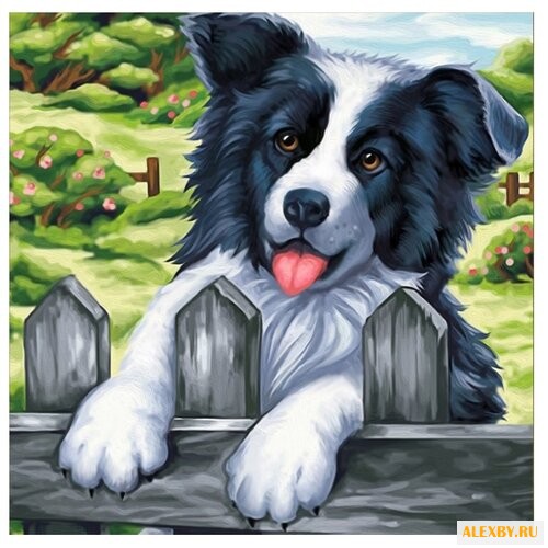 Алмазная живопись Набор