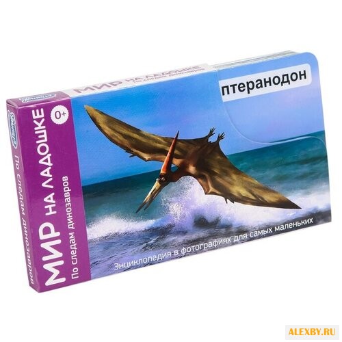 Набор карточек Умница Мир на