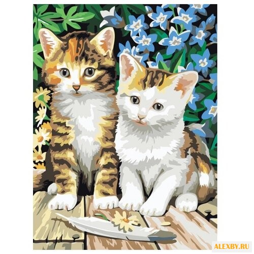 Белоснежка Картина по номерам