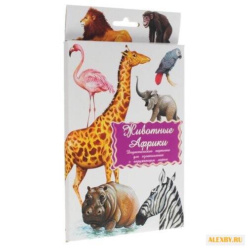 Набор карточек Маленький гений