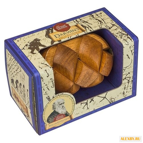 Головоломка Professor Puzzle