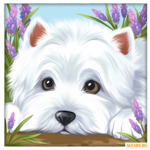 Алмазная живопись Набор