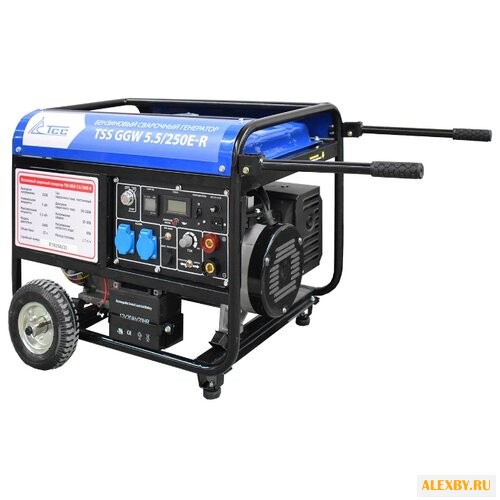 Бензиновая электростанция ТСС